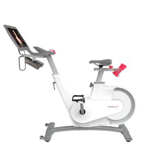 Купить Велотренажер Yesoul BV1-W PLUS в Костерёве 